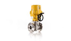 Electric 9000 Flanged Ball Valve Assembly